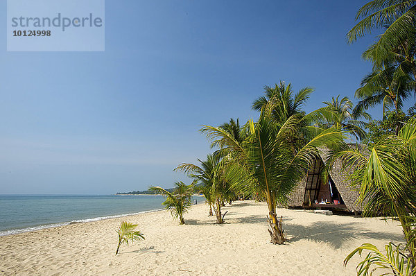 Strandhütten am Lamai Beach  Insel Ko Samui  Thailand  Asien