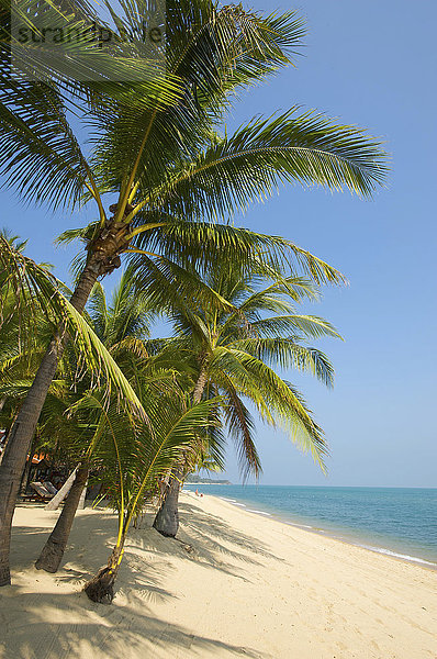Mae Nam Beach  Insel Ko Samui  Thailand  Asien