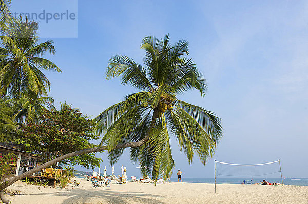 Palmenstrand  Lamai Beach  Insel Ko Samui  Thailand  Asien
