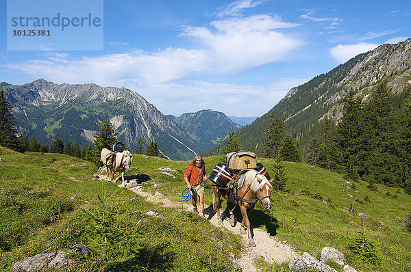 Versorgung der Willersalpe mit Pferden  Hinterstein  Hintersteiner Tal  Bad Hindelang  Allgäu  Bayern  Deutschland  Europa