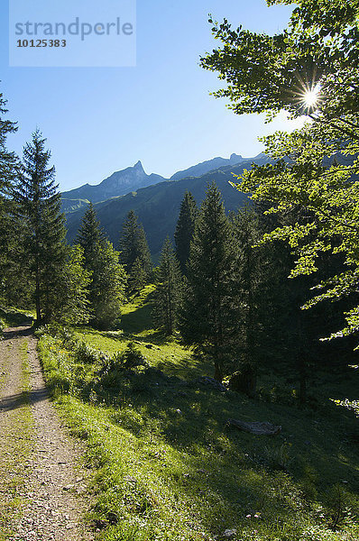 Schneck  Allgäuer Alpen  vom Hintersteiner Tal aus  Allgäu  Bayern  Deutschland  Europa