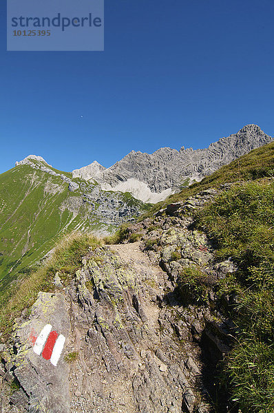 Auf dem Weg zum Prinz-Luitpold-Haus  Hintersteiner Tal  Bad Hindelang  Allgäu  Bayern  Deutschland  Europa