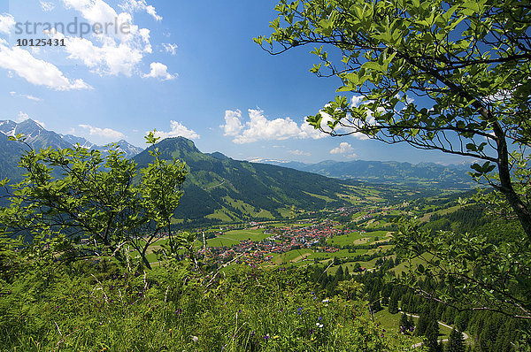 Bad Hindelang  Allgäu  Bayern  Deutschland  Europa