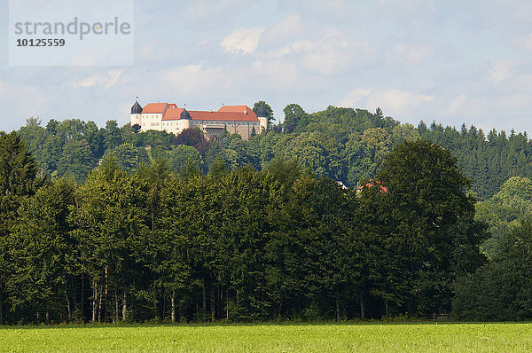 Schloss Kronburg bei Memmingen  Allgäu  Bayern  Deutschland  Europa