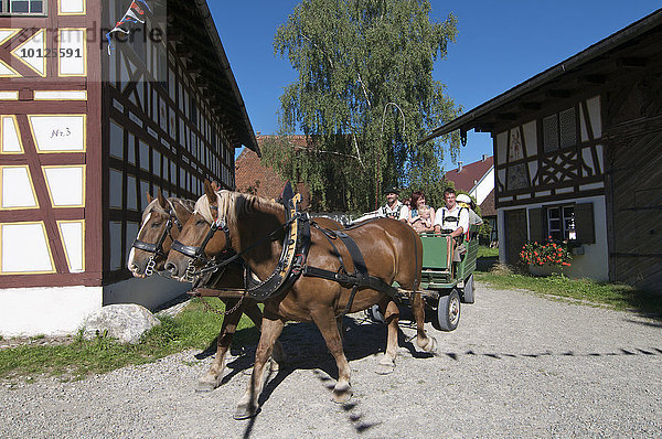 Schwäbisches Bauernhofmuseum Illerbeuren  Oberschwaben  Allgäu  Bayern  Deutschland  Europa