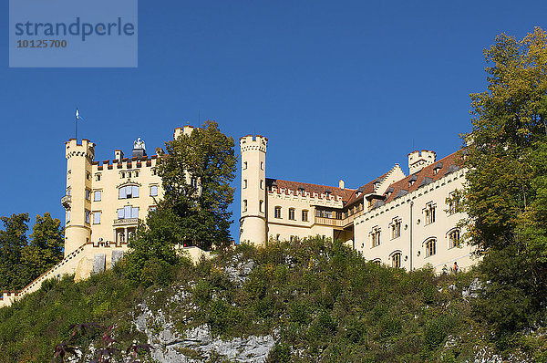 Schloss Hohenschwangau  Füssen  Allgäu  Bayern  Deutschland  Europa