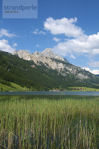 Haldensee mit Blick auf Gimpel  Rote Flüh  Köllenspitze  Tannheimer Tal  Allgäu  Tirol  Österreich  Europa