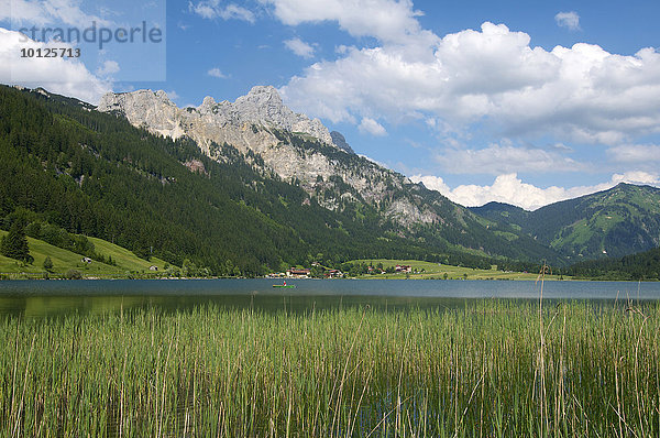 Haldensee mit Blick auf Gimpel  Rote Flüh  Köllenspitze  Tannheimer Tal  Allgäu  Tirol  Österreich  Europa
