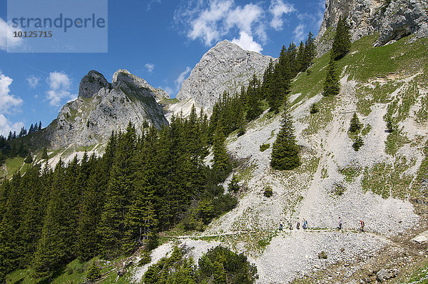 Schutthalde unterhalb der Köllenspitze  Tannheimer Berge  Tannheimer Tal  Allgäu  Tirol  Österreich  Europa