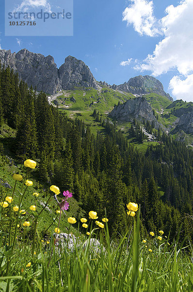Köllenspitze und Tannheimer Hütte  Tannheimer Berge  Tannheimer Tal  Allgäu  Tirol  Österreich  Europa