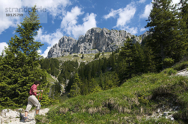 Auf dem Weg zur Tannheimer Hütte  Tannheimer Berge  Tannheimer Tal  Allgäu  Tirol  Österreich  Europa