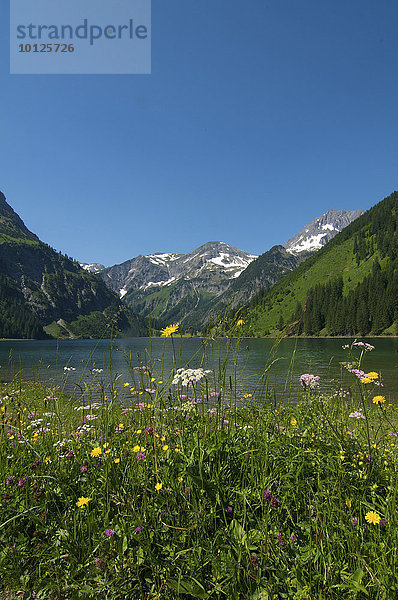 Vilsalpsee im Naturschutzgebiet Vilsalpsee  Tannheimer Tal  Allgäu  Tirol  Österreich  Europa