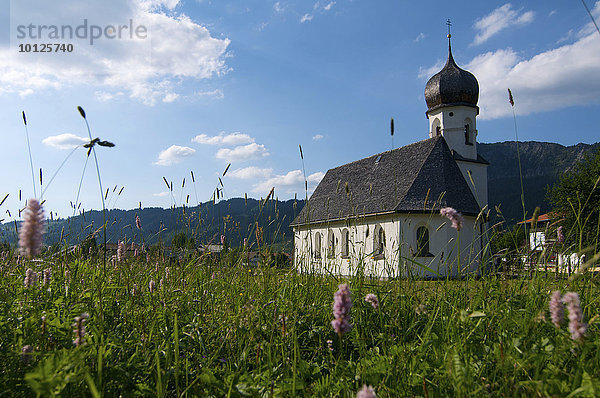 Mariahilfkirche in Tannheim  im Tannheimer Tal  Allgäu  Tirol  Österreich  Europa
