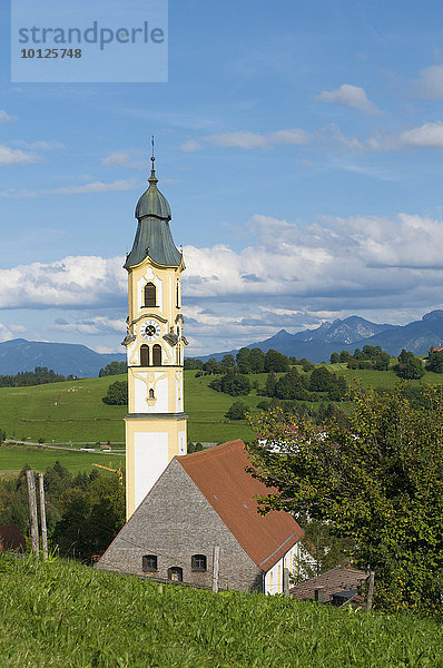 Kirche im Ortsteil Berg  Pfronten im Allgäu  Bayern  Deutschland  Europa