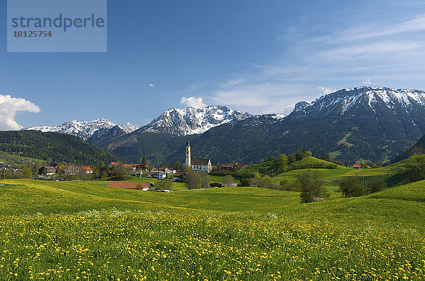 Pfronten im Allgäu  Bayern  Deutschland  Europa