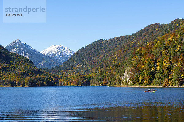 Alpsee bei Hohenschwangau  Füssen  Allgäu  Bayern  Deutschland  Europa