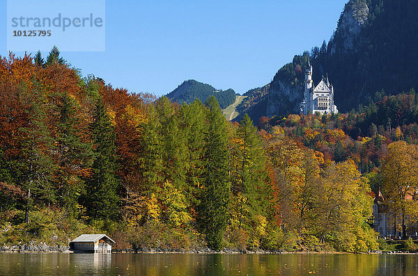 Schloss Neuschwanstein mit Alpsee  Füssen  Allgäu  Bayern  Deutschland  Europa