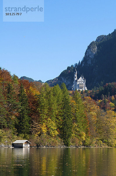 Schloss Neuschwanstein mit Alpsee  Füssen  Allgäu  Bayern  Deutschland  Europa