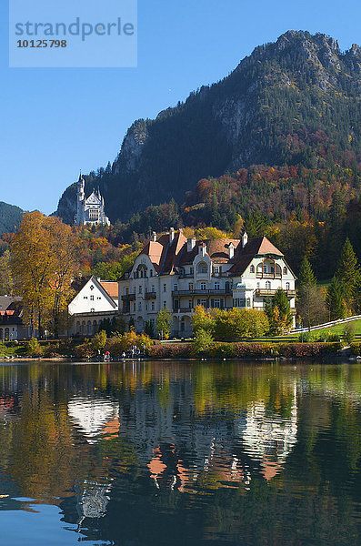 Schloss Neuschwanstein mit Alpsee  Füssen  Allgäu  Bayern  Deutschland  Europa