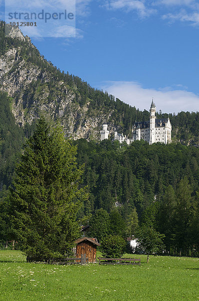 Schloss Neuschwanstein mit Alpsee  Füssen  Allgäu  Bayern  Deutschland  Europa