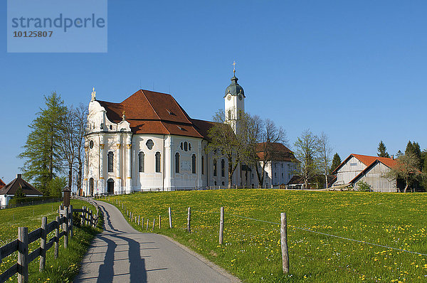 Wieskirche bei Steingaden  Oberbayern  Bayern  Deutschland  Europa