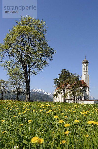 Sankt Koloman bei Füssen  Allgäu  Bayern  Deutschland  Europa