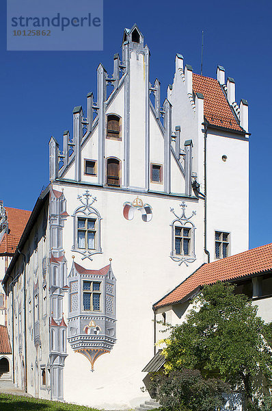 Hohes Schloss mit Staatsgalerie in Füssen  Allgäu  Bayern  Deutschland  Europa
