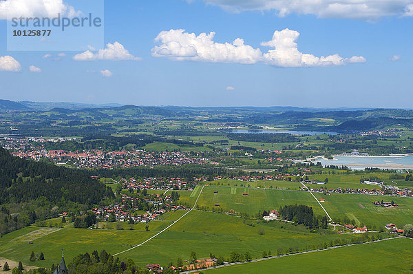 Blick vom Tegelberg auf Füssen und Forggensee  Allgäu  Bayern  Deutschland  Europa