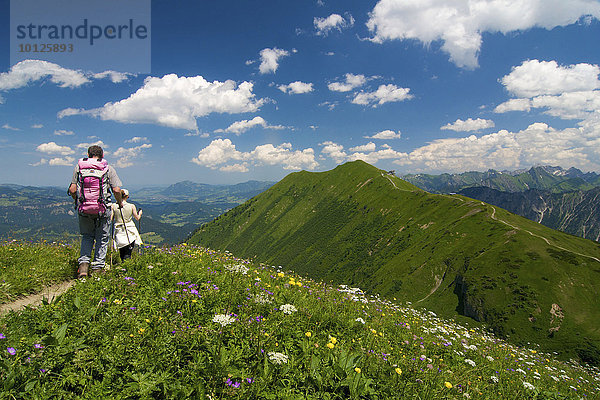 Weg von der Kanzelwand zum Fellhorn  Kleinwalsertal  Allgäu  Vorarlberg  Österreich  Europa