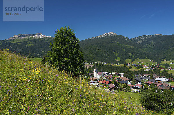 Riezlern mit Blick auf den Hohen Ifen  Kleinwalsertal  Allgäu  Vorarlberg  Österreich  Europa
