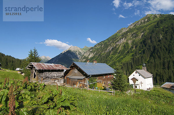Bauernhof und Kapelle in Bad  Kleinwalsertal  Allgäu  Vorarlberg  Österreich  Europa