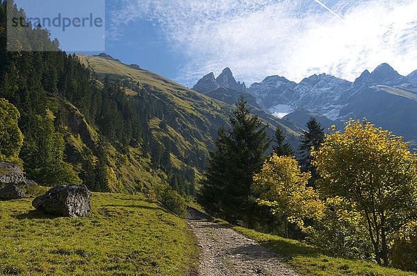 Trettachspitze  Mädelegabel und Hochfrottspitze von Einödsbach aus  Allgäuer Hochalpen  Oberstdorf  Allgäu  Bayern  Deutschland  Europa