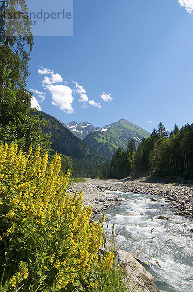 Stillachtal bei Oberstdorf  Allgäu  Bayern  Deutschland  Europa