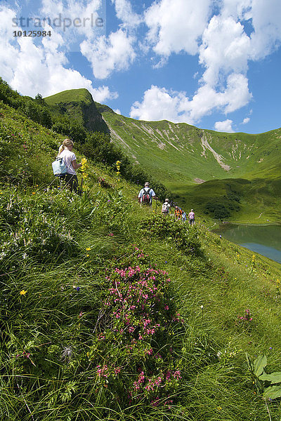 Schlappoltsee  Fellhorn  Oberstdorf  Allgäu  Bayern  Deutschland  Europa