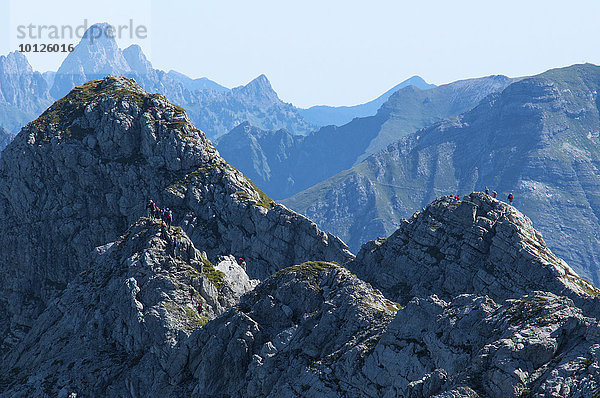 Wengenkopf am Hindelanger Klettersteig  Nebelhorn  Oberstdorf  Allgäu  Bayern  Deutschland  Europa