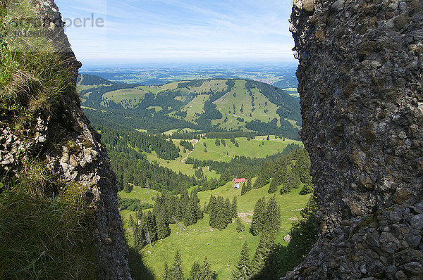 Nagelfluhkette Nähe Hochgrat  Allgäu  Bayern  Deutschland  Europa