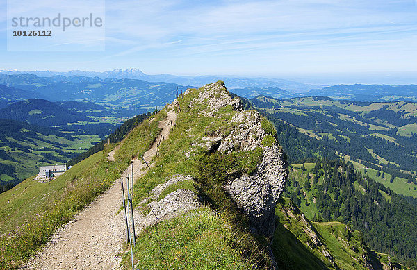 Hochgrat bei Oberstaufen  Allgäu  Bayern  Deutschland  Europa