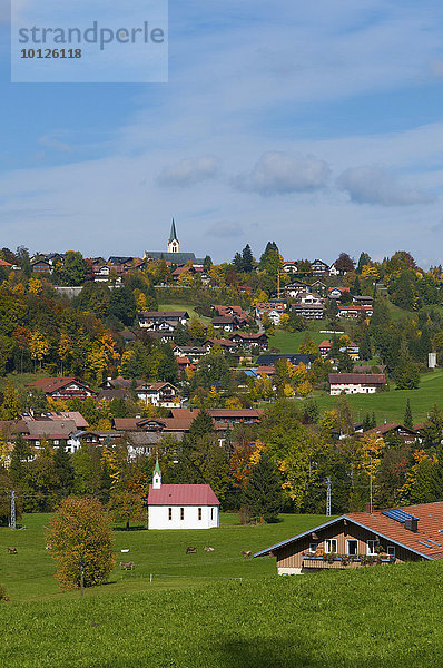 Oberstaufen  Allgäu  Bayern  Deutschland  Europa