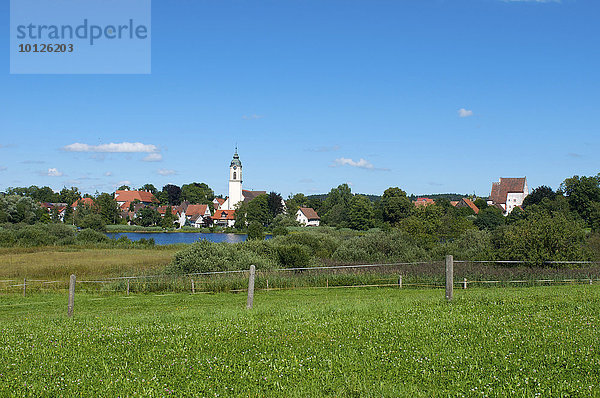 Kisslegg  Oberschwaben  Allgäu  Baden-Württemberg  Deutschland  Europa