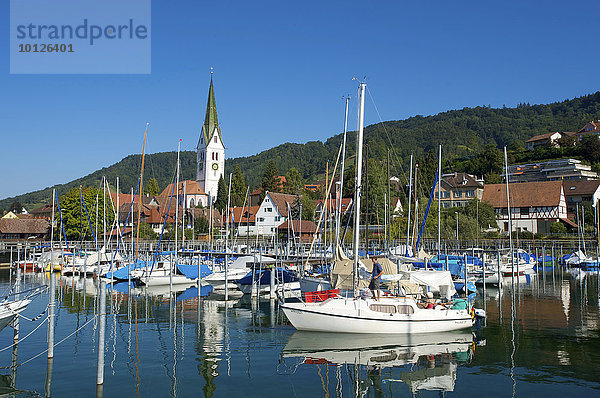 Yachthafen von Sipplingen  Bodensee  Baden-Württemberg  Deutschland  Europa