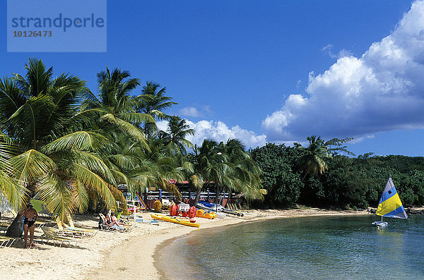 Bolongo Beach  Insel St. Thomas  Amerikanische Jungferninseln  Karibik  Nordamerika