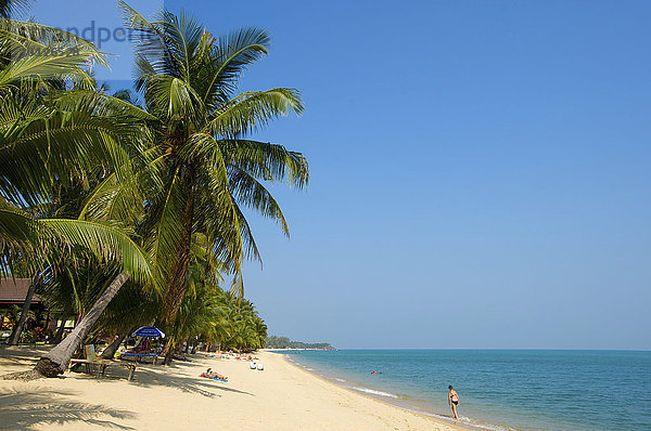 Mae Nam Beach  Insel Ko Samui  Thailand  Asien