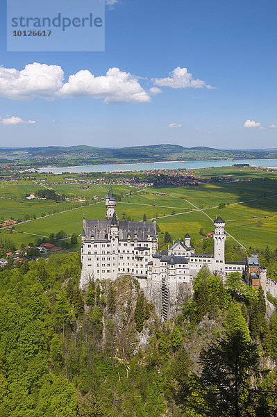 Schloss Neuschwanstein mit Forggensee  Füssen  Allgäu  Bayern  Deutschland  Europa