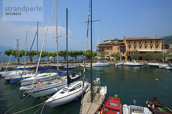 Torri del Benaco am Gardasee  Venetien  Italien  Europa