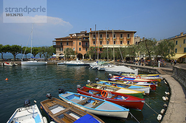 Torri del Benaco am Gardasee  Venetien  Italien  Europa