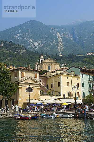 Hafen von Malcesine am Gardasee  Venetien  Italien  Europa