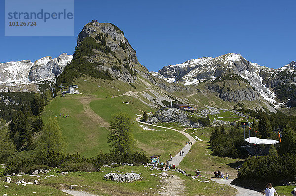 Gschöllkopf  Rofangebirge am Achensee  Tirol  Österreich  Europa