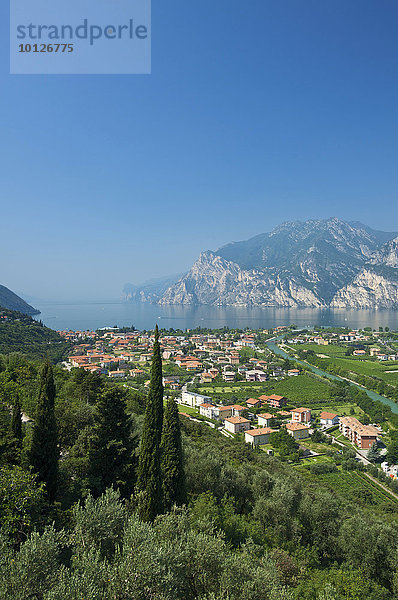 Blick auf Torbole am Gardasee  Trentino  Italien  Europa