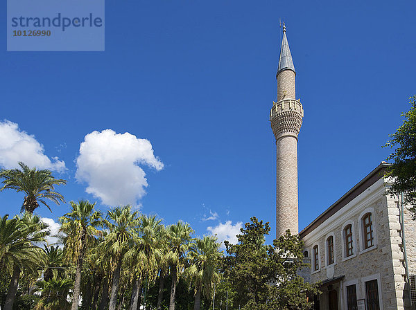 Moschee in der Altstadt von Bodrum  türkische Ägäis  Türkei  Asien