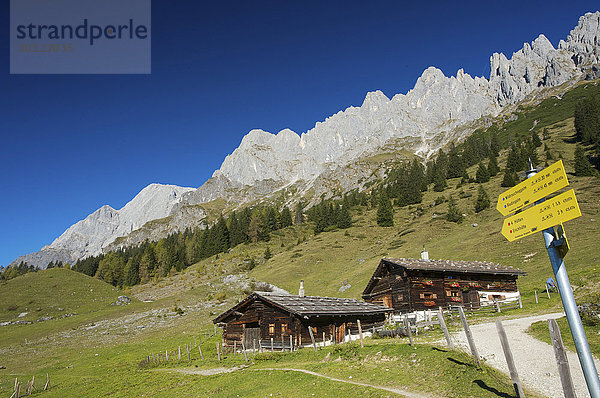 Alm beim Arthurhaus in Mühlbach vor den Mandlwänden des Hochkönigs im Pinzgau  Pongau im Salzburger Land  Österreich  Europa